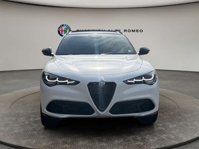 2025 Alfa Romeo Stelvio STELVIO AWD
