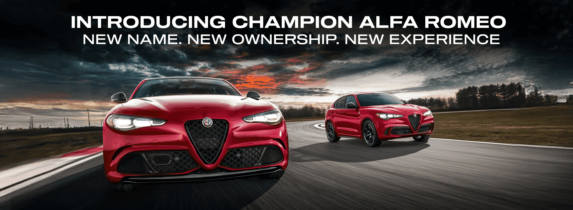 Introducing Champion Alfa Romeo in Great Neck NY